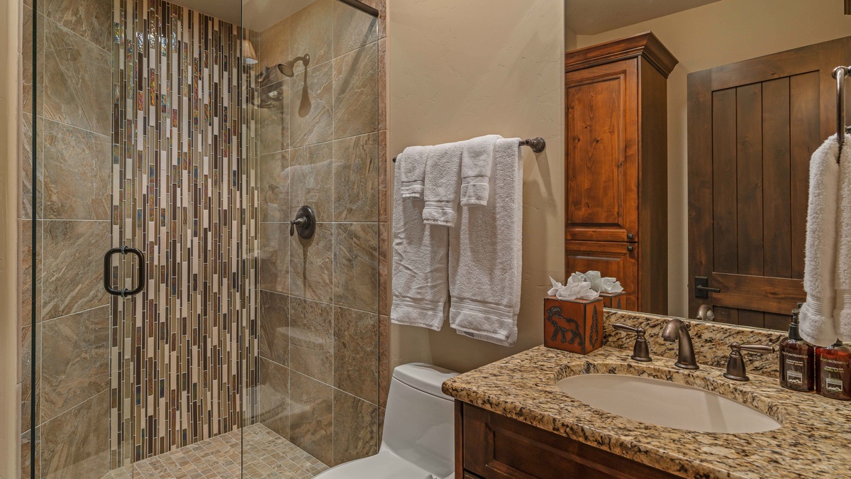 Shared hall bath on lower level