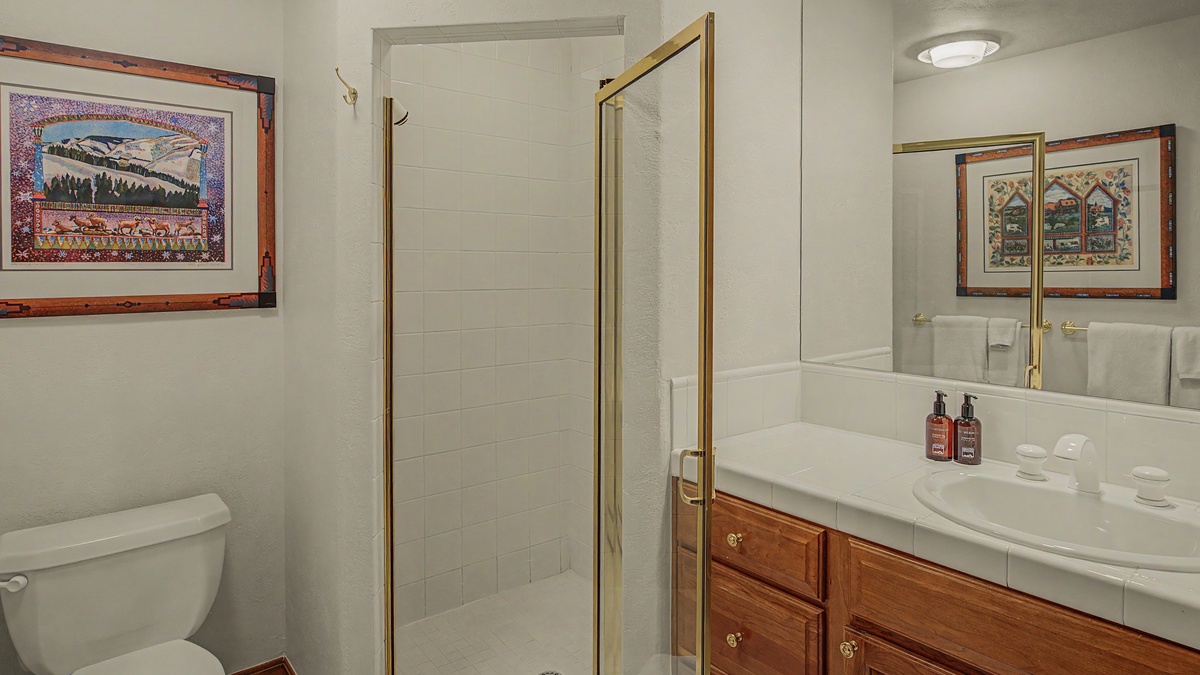 Shared Bathroom, Lower Level - Hall bathroom adjacent to Bedroom 4 with single vanity and walk-in shower