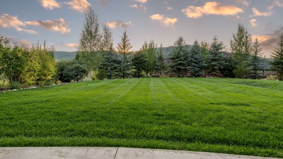 Exterior - Expansive backyard lawn with mountain views