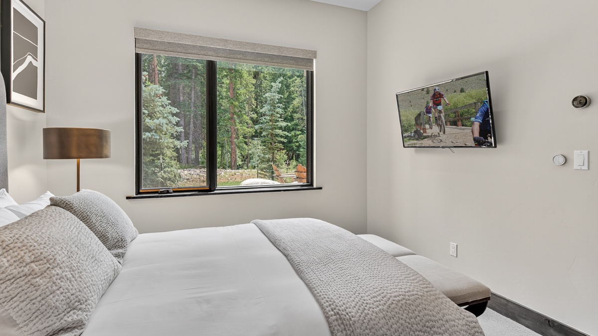 Bedroom 4, Lower Level - Queen suite