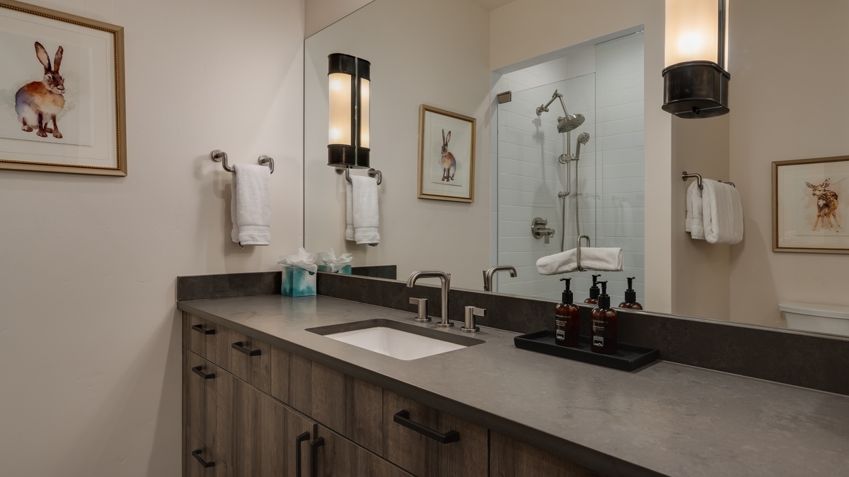 Bunkroom bath on lower level