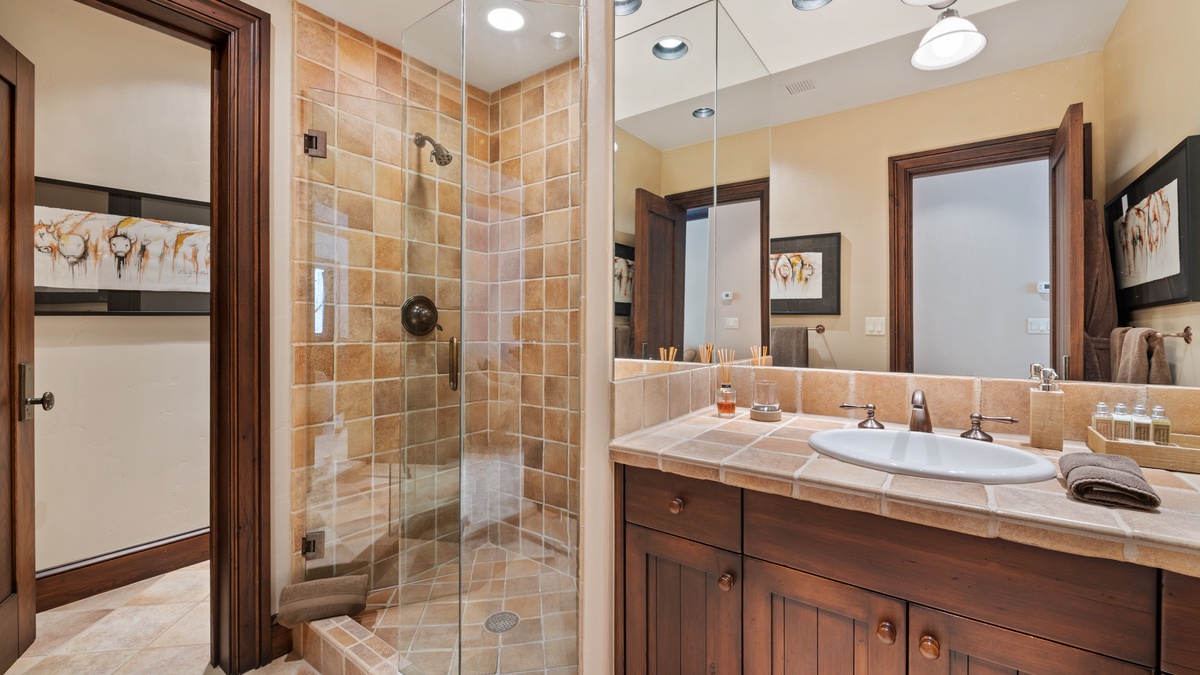 Bedroom 2, Lower Level - Guest bedroom on lower level en suite with walk-in shower