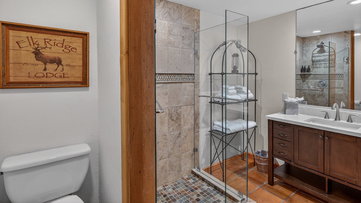 Lower level hall bath