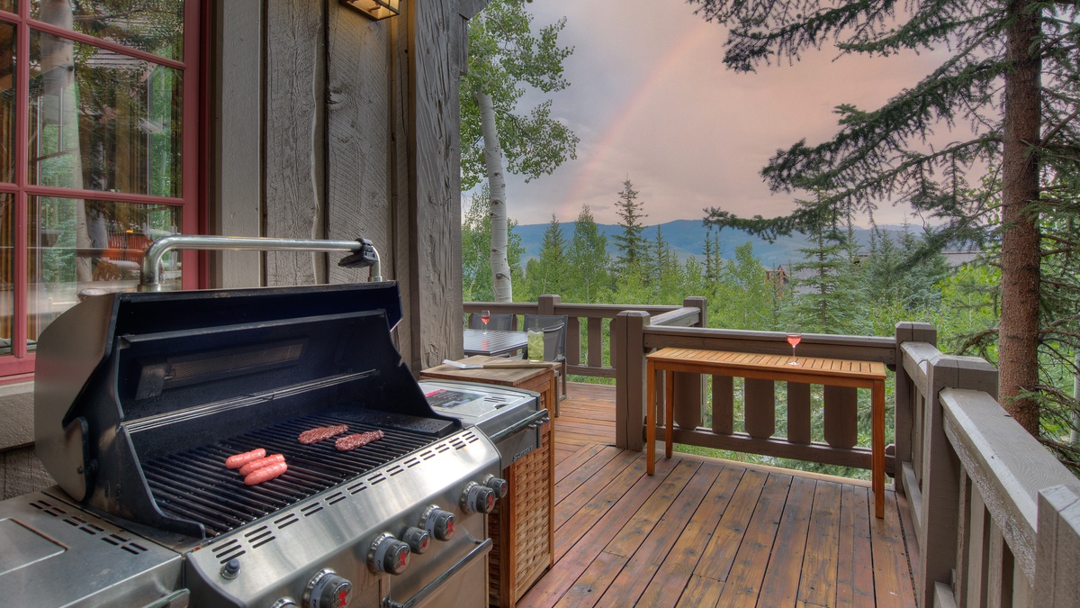 Large BBQ, Main Level