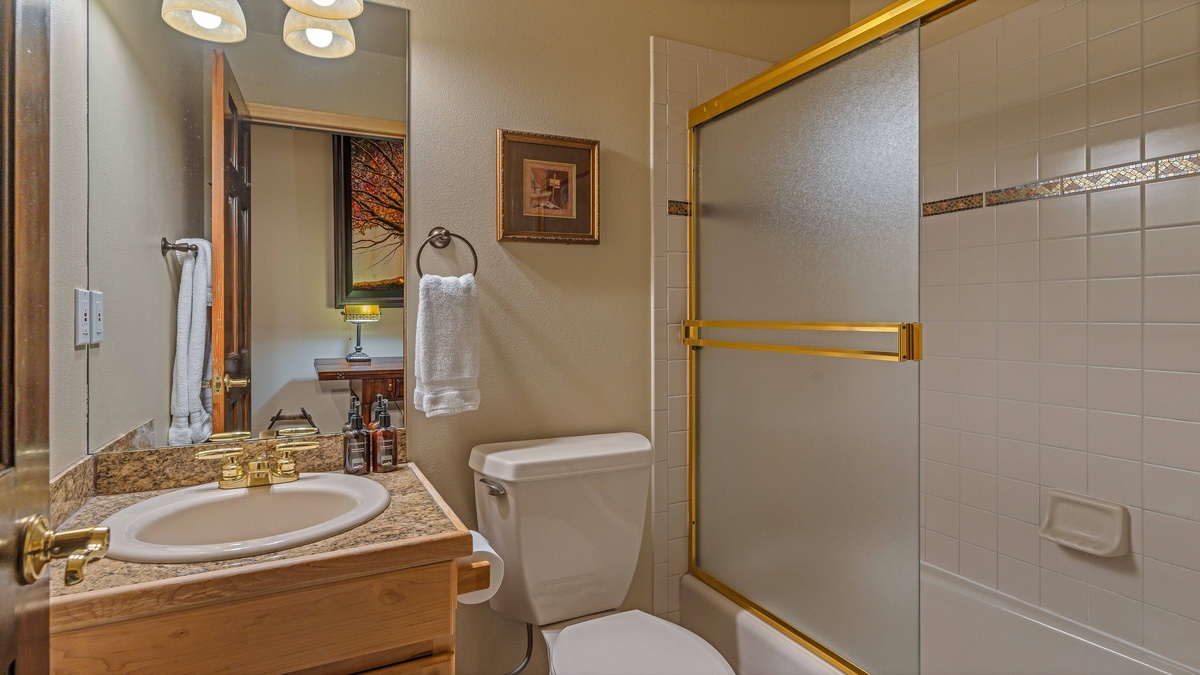 Upper level hall bath