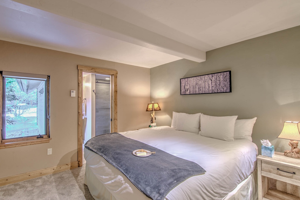 Bedroom 2, Main Level - Downstairs bedroom with bath