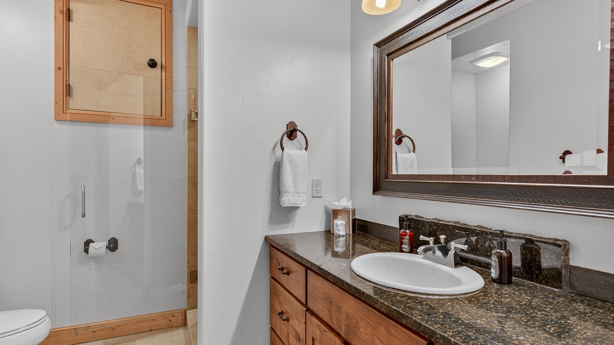 Lower Level, Bathroom