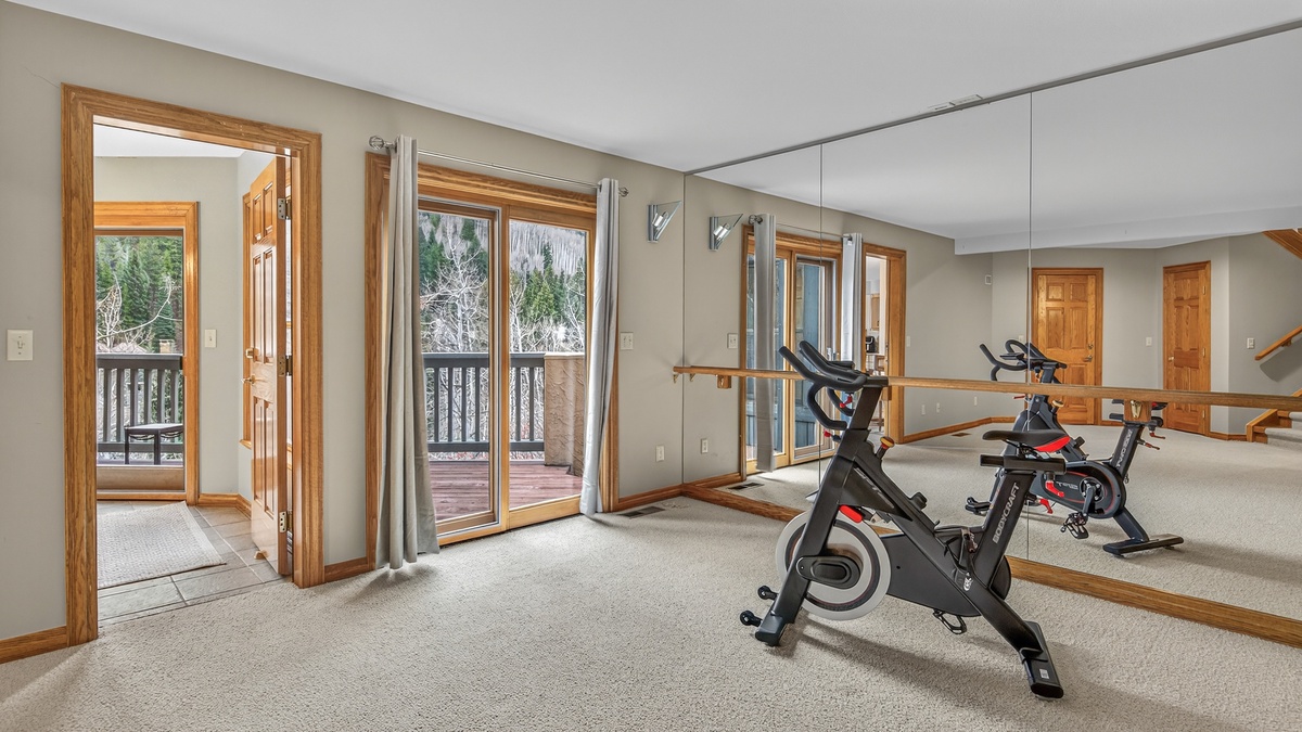 Exercise Bike, Lower Level