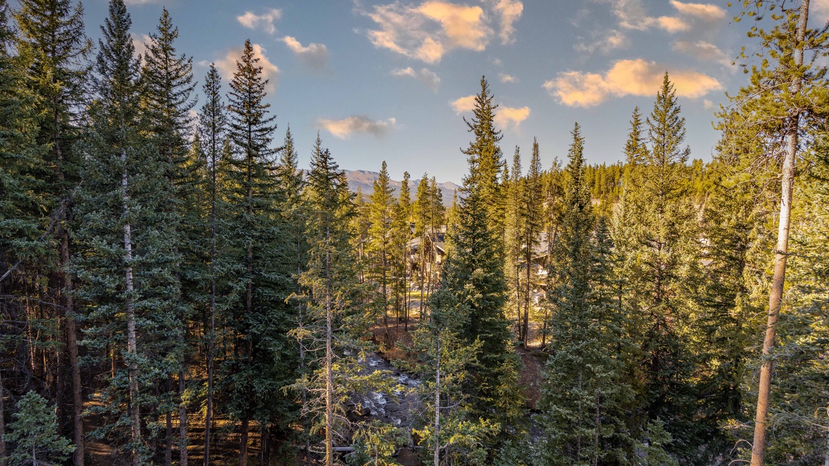 Views of the river from the deck