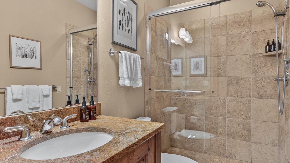 Lower Level, bathroom