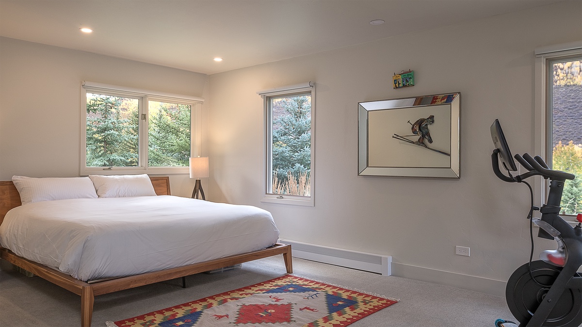 Bedroom 4, Main Level - King suite with Peloton bike