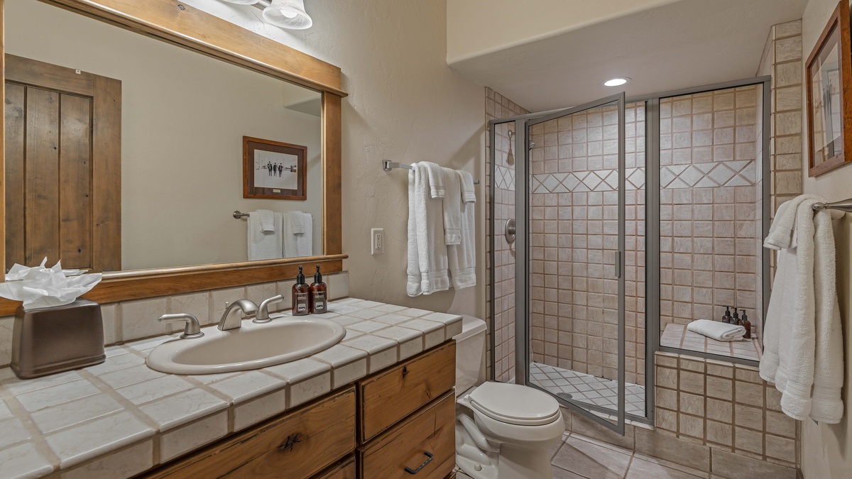 Lower level shared hall bath