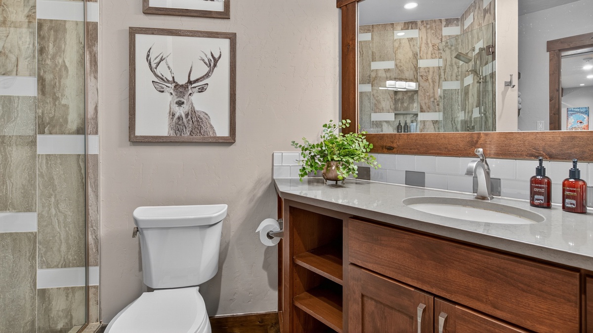 Shared Bathroom, Lower Level - Hallway bath adjacent to Bedroom 2 and 3