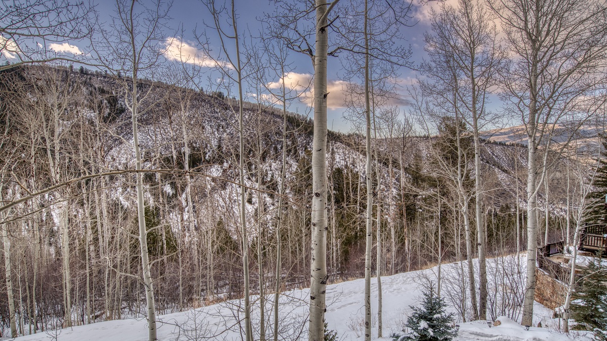 View with ski trail below