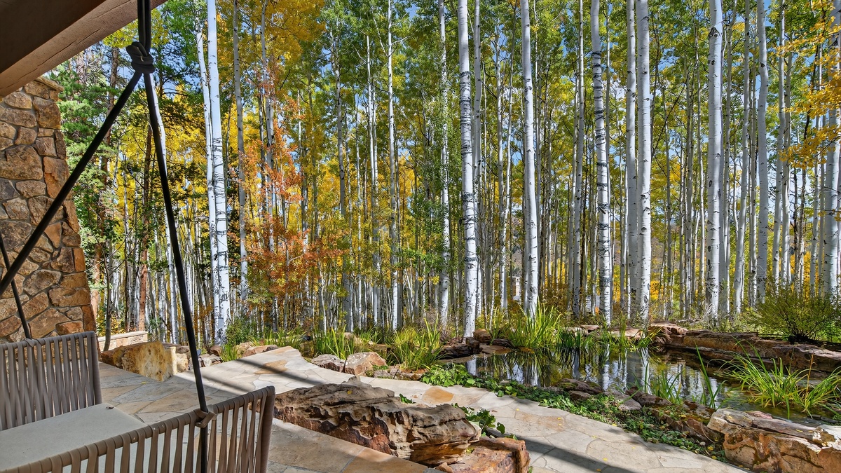 View from the Primary Bedroom's patio