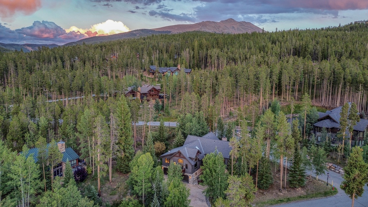 Exterior - Aerial view of the home surrounded by trees