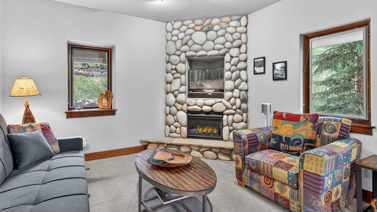 Apartment Living Room, Lower Level - With king sleeper sofa