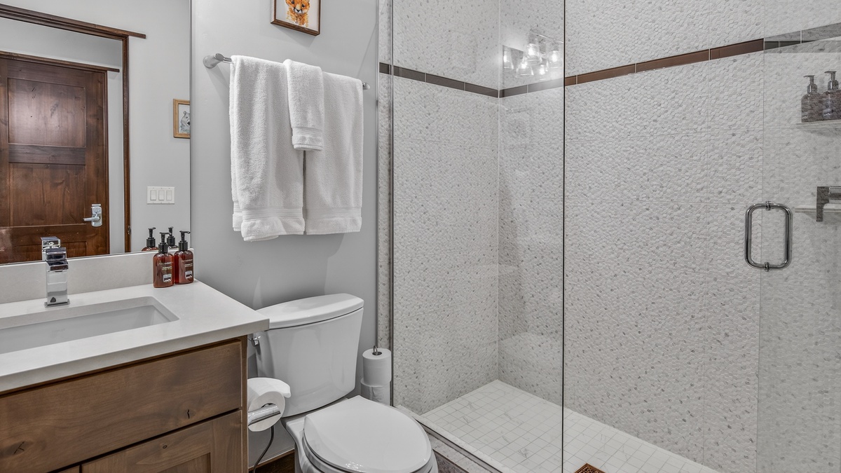 Bathroom, Lower Level - Shared bathroom for Bedroom 4 and Lower Level Family Room