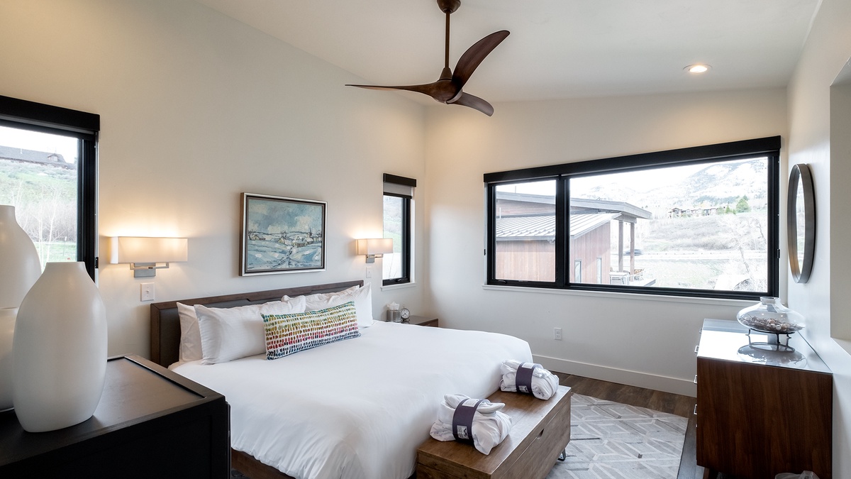 Primary suite, upper level