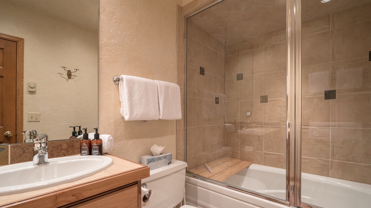 Shared Bathroom, Lower Level - Hall bath adjacent to bedroom 5