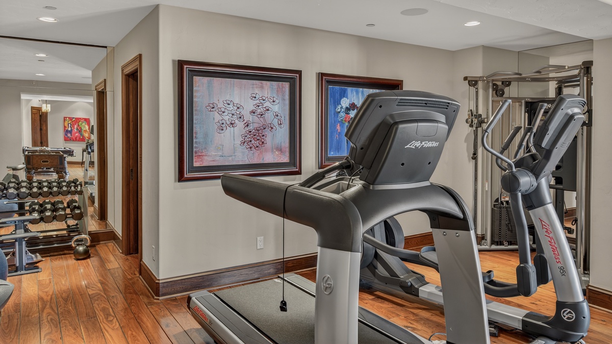 Gym, Lower Level - Fitness equipment including treadmill
