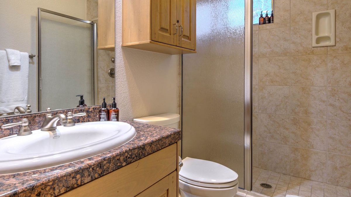 Bedroom 2, Lower Level - Lower level bedroom attached bath