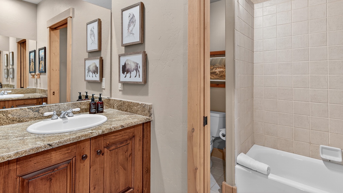 Lower Level, 2nd bathroom