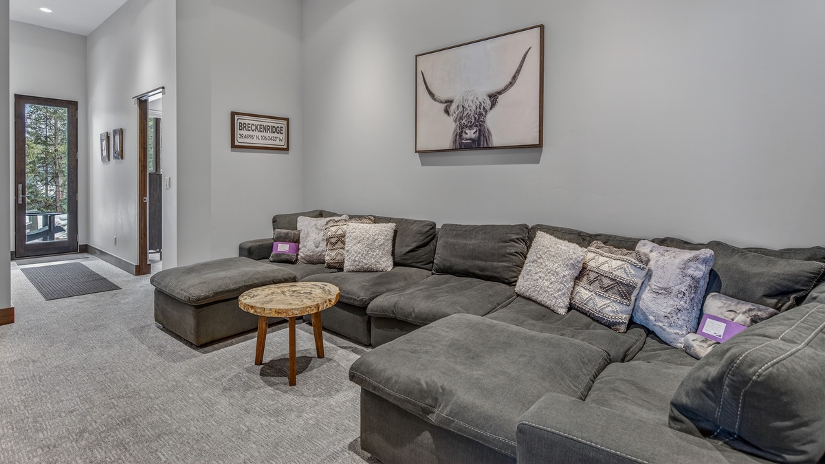 Family Room, Lower Level