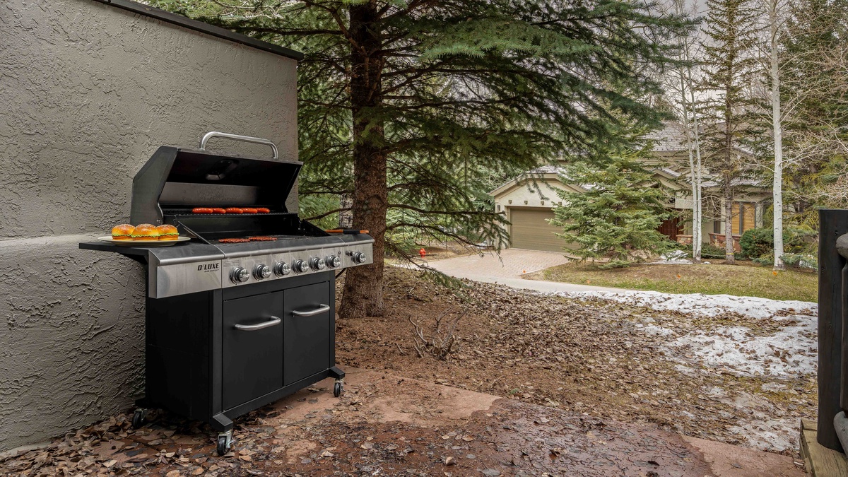 Private back patio with grill