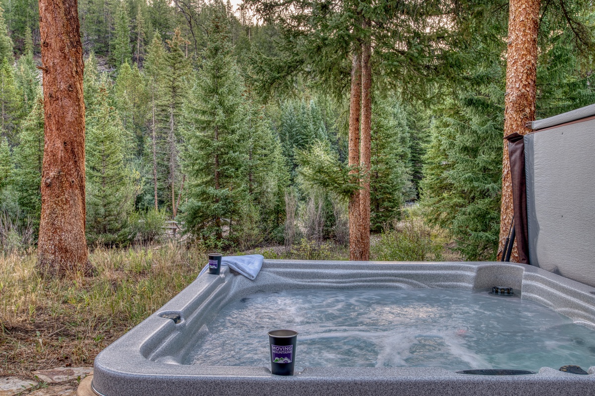 Hot Tub, Lower Level - Hot tub overlooking the river
