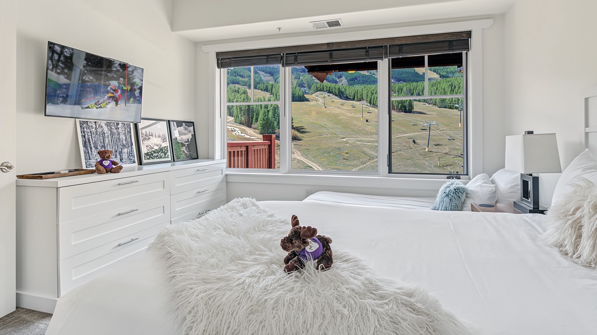 Bedroom 2, Main Level - Queen and twin bedroom in Summer