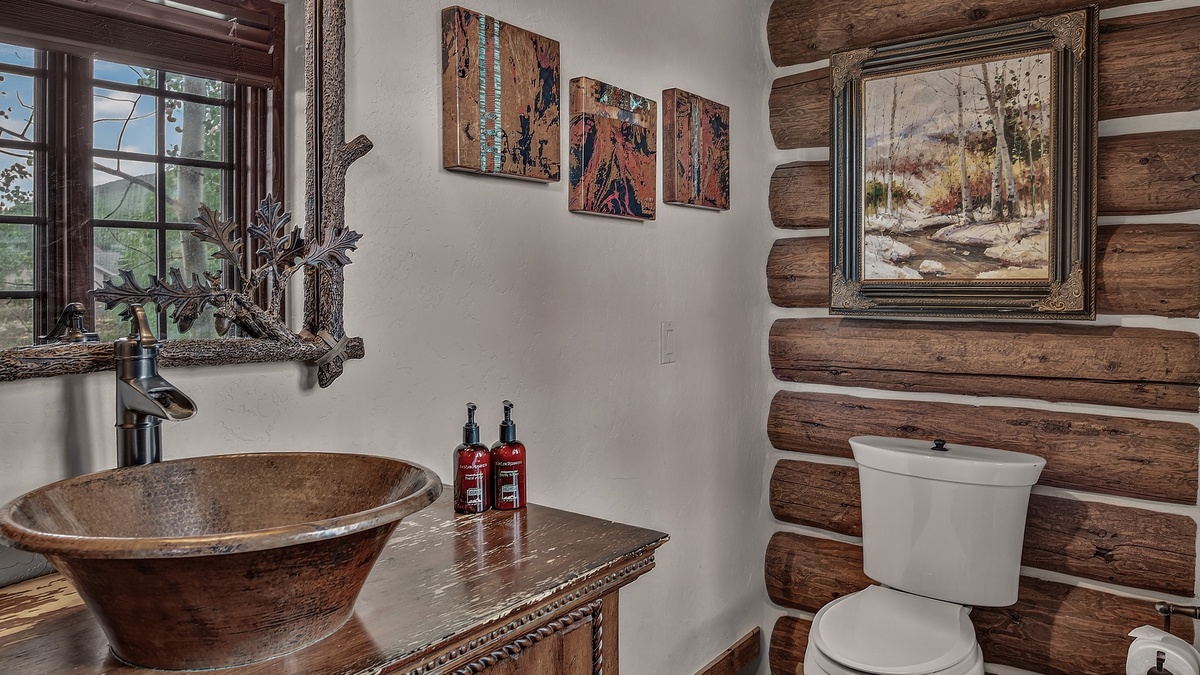 Powder Room, Main Level - Vanity and toilet