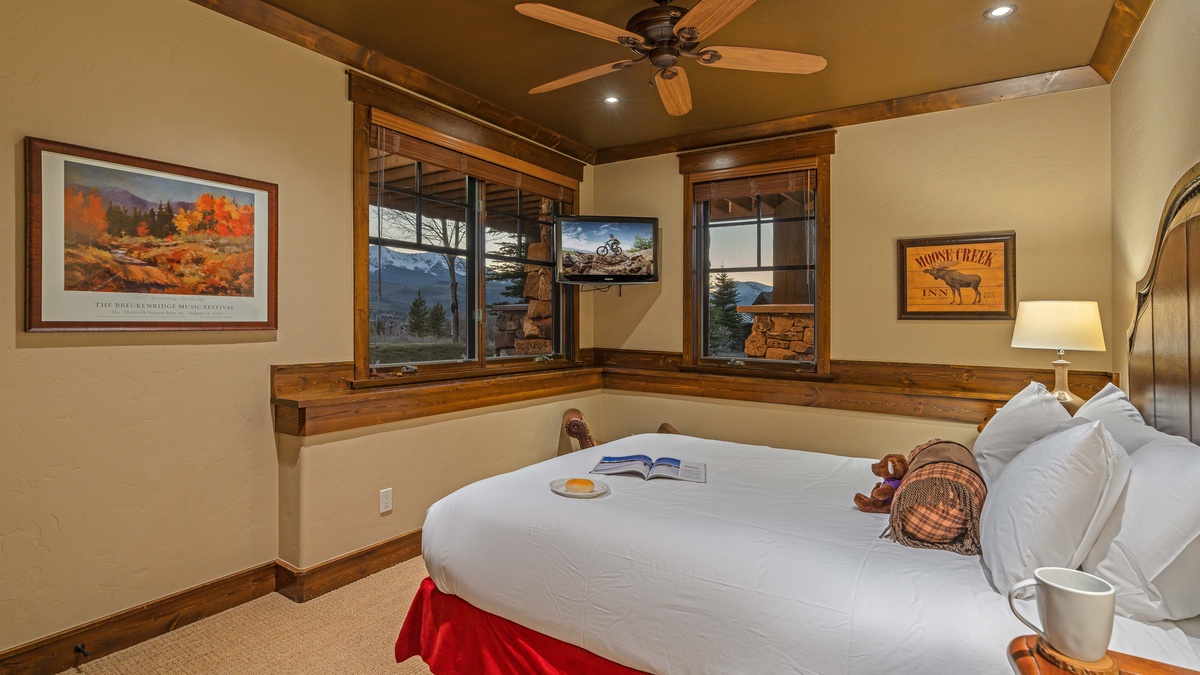 Bedroom 4, Lower Level - Lower level queen suite 2 with TV