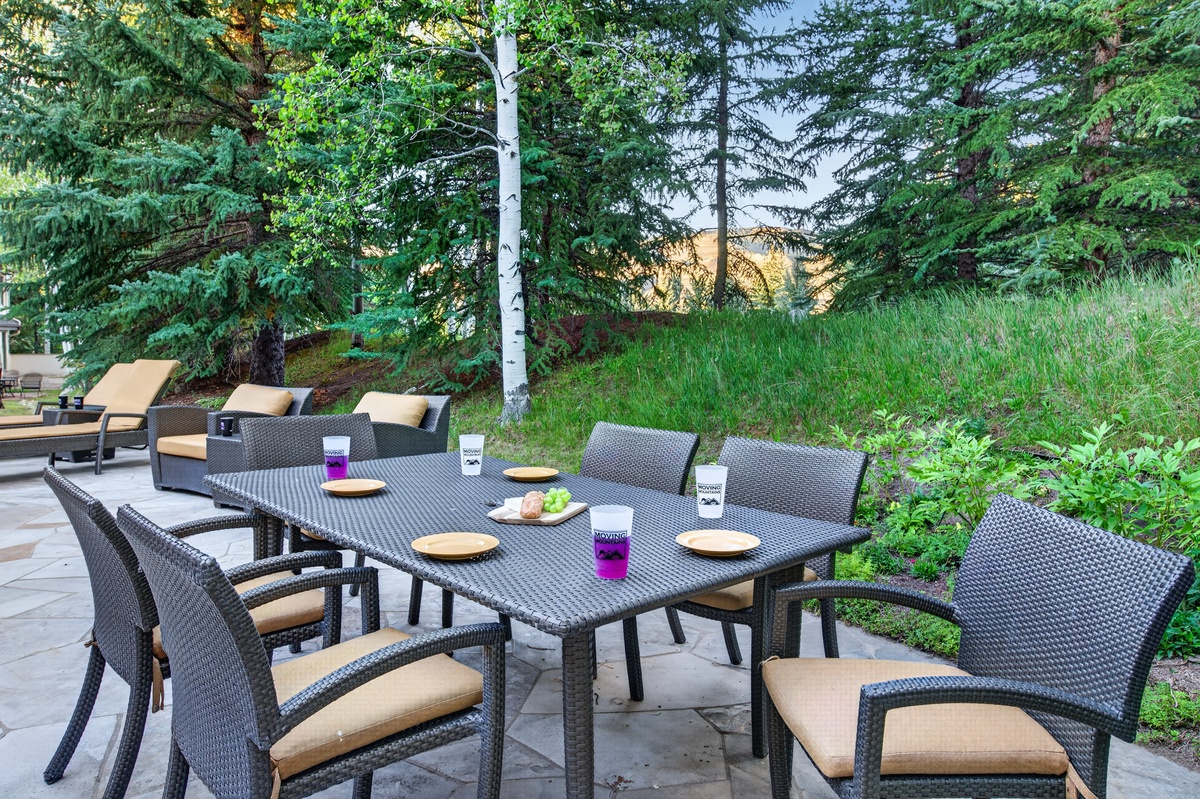 Patio, Main Level - Outdoor dining table surrounded by trees