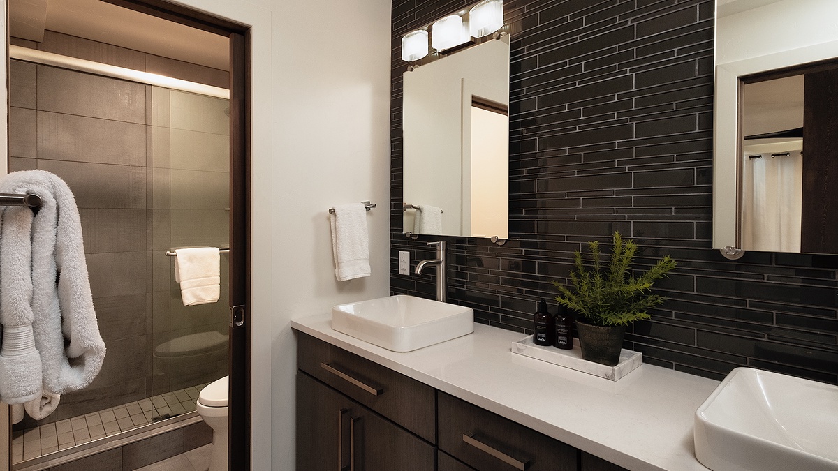 Lower level bathroom