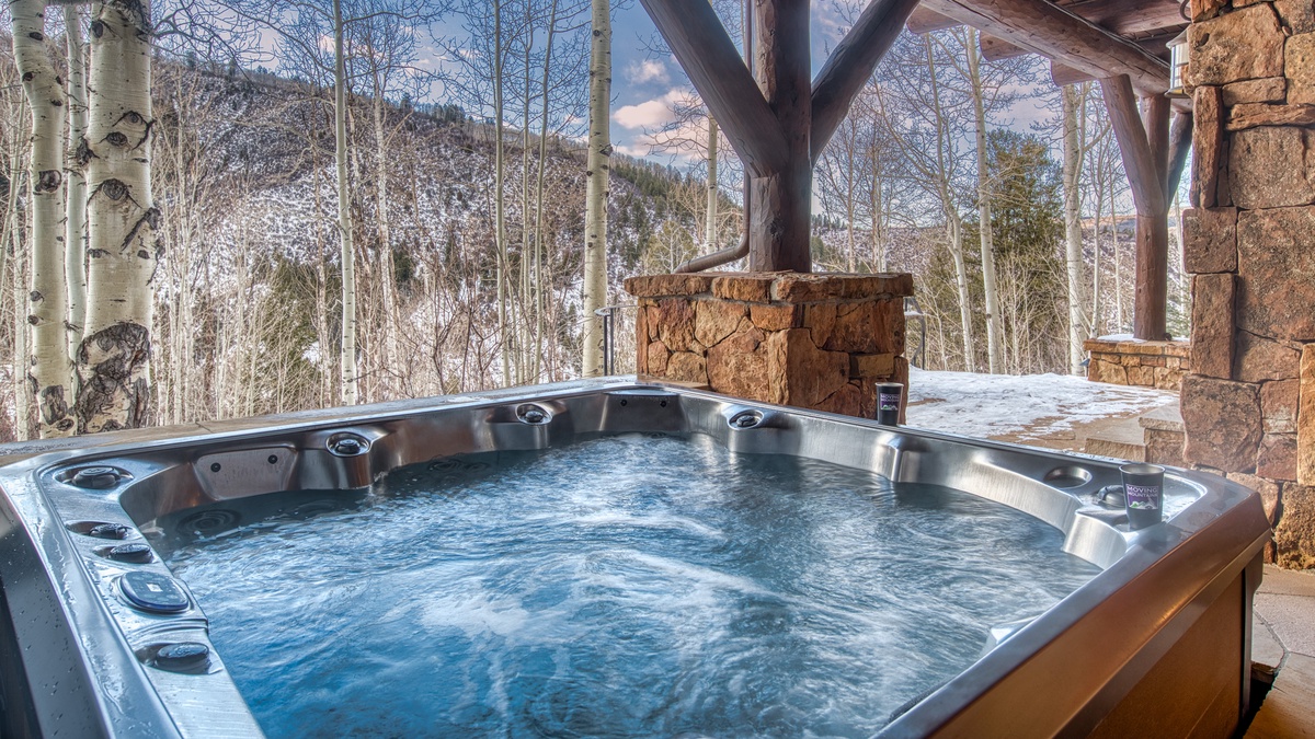 Hot Tub, Lower Level - Private hot tub with wooded views