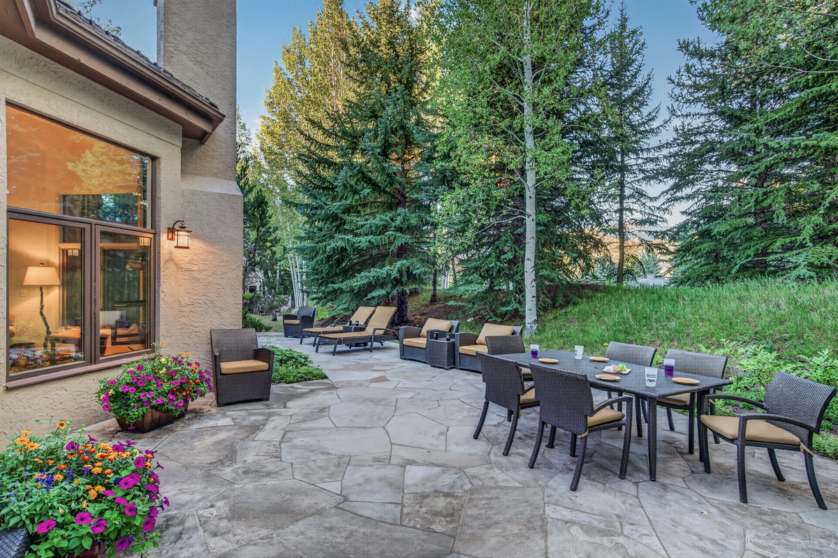 Patio, Main Level - Dining table with surrounding patio