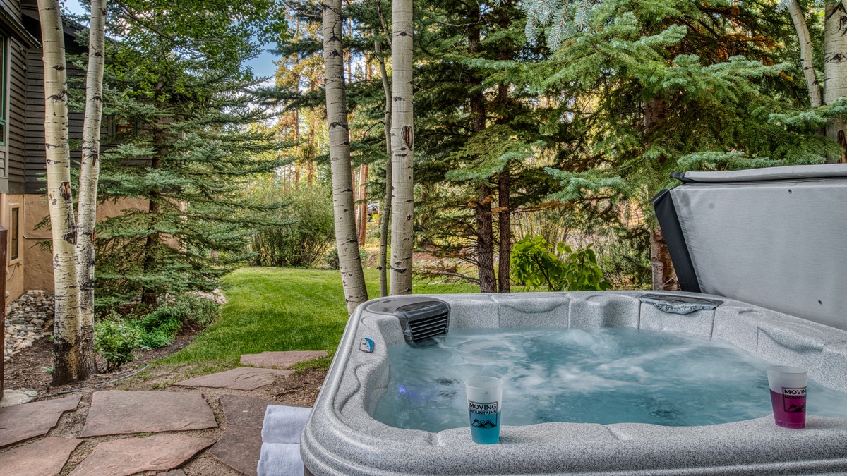 Hot Tub, Lower Level