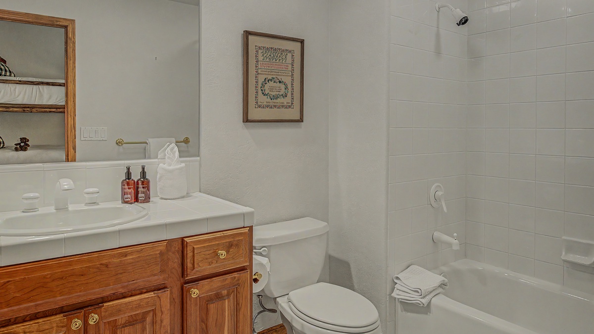 Bedroom 5, Lower Level - Ensuite with single vanity and toilet