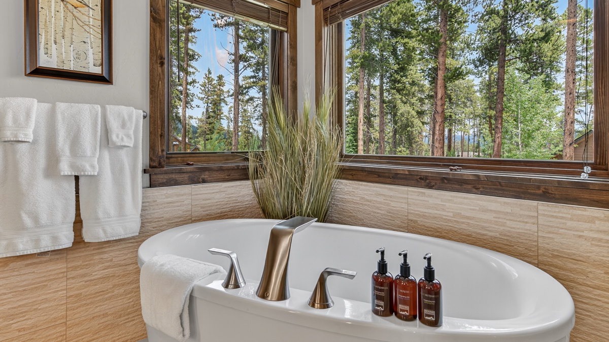 Bedroom 1, Main Level - Primary ensuite bathtub with views
