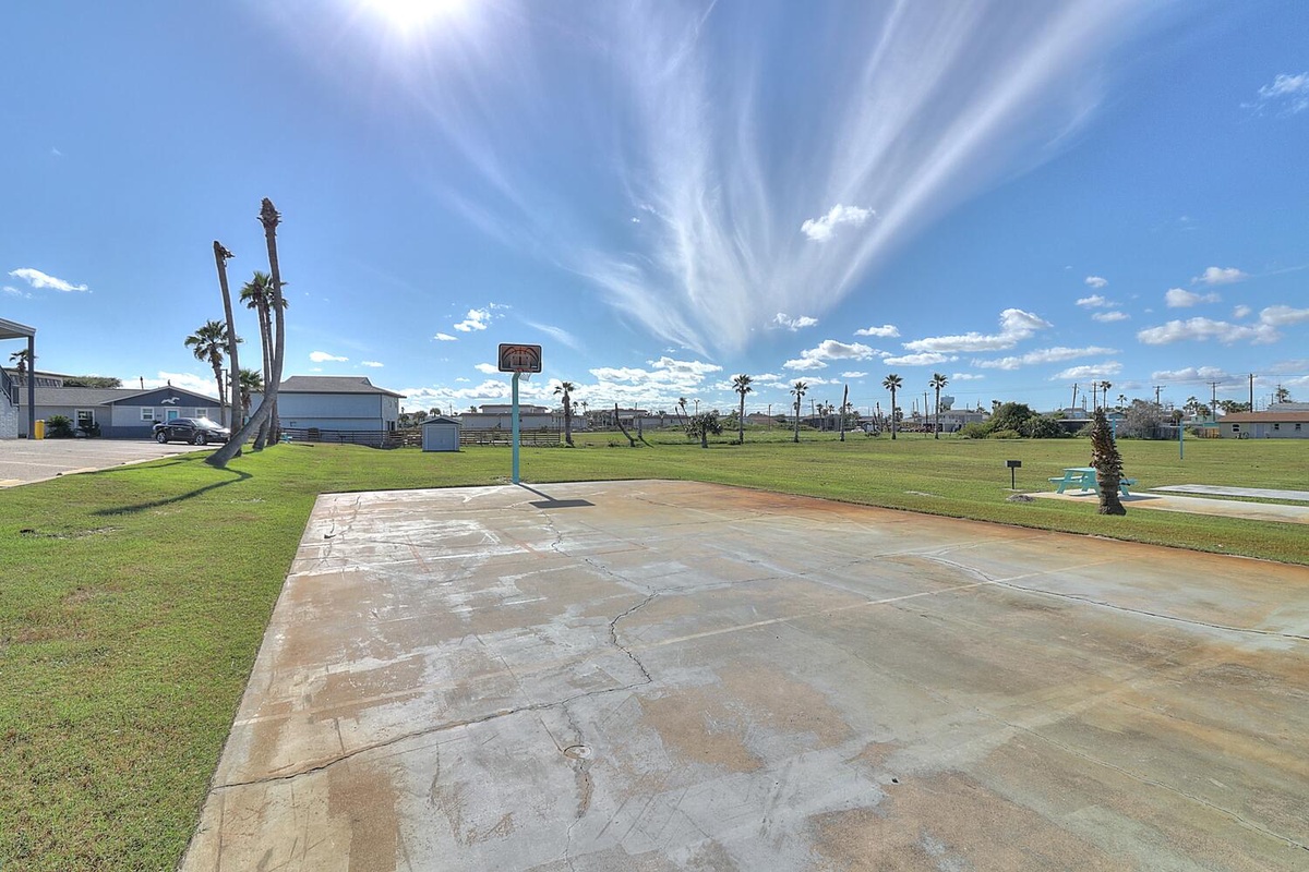 Open basketball court surrounded by palm trees and green space, perfect for outdoor recreation in sunny weather.