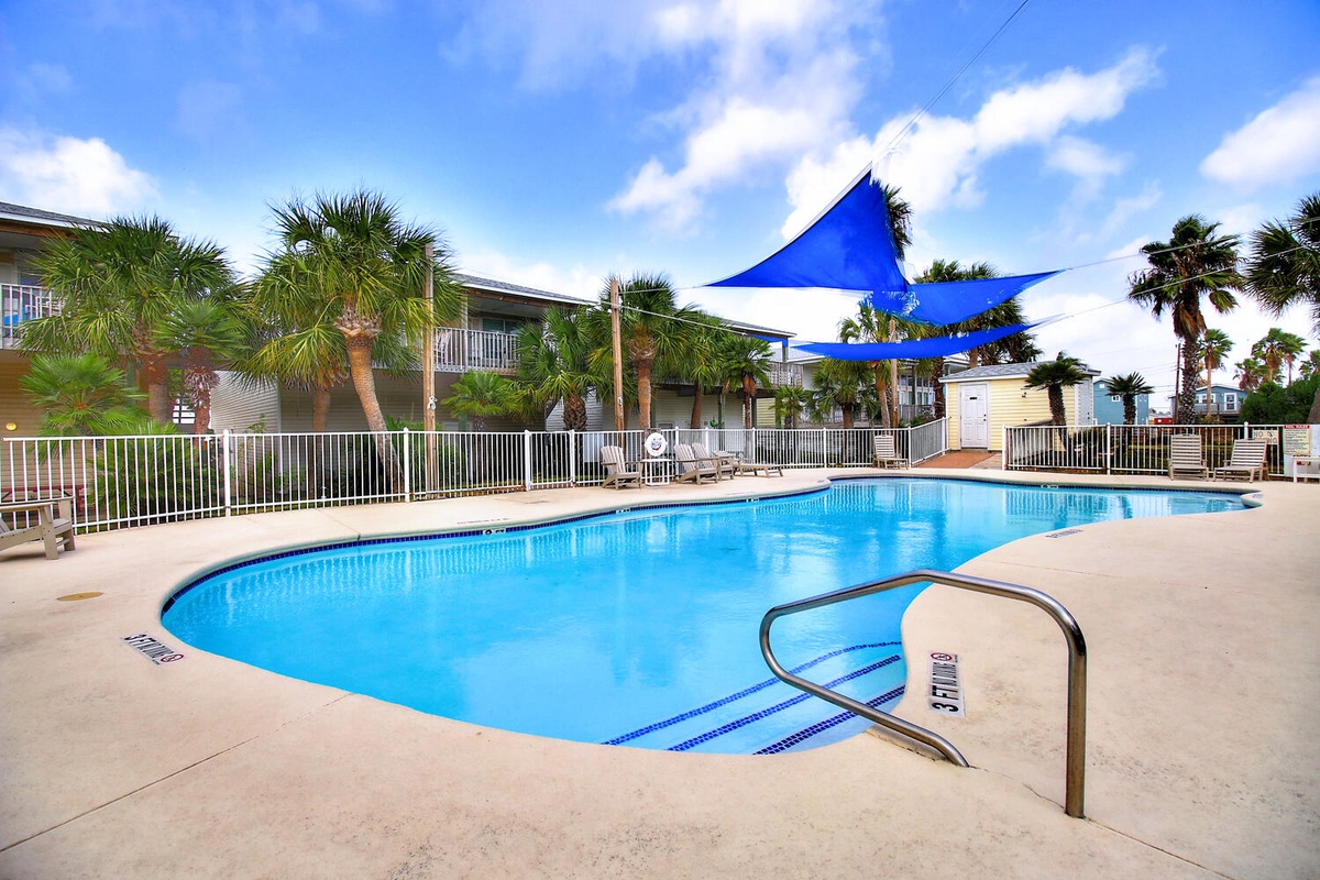 Dive into crystal-clear waters under tropical blue skies. This sparkling pool offers the perfect escape with palm tree shade and comfortable lounging areas nearby.