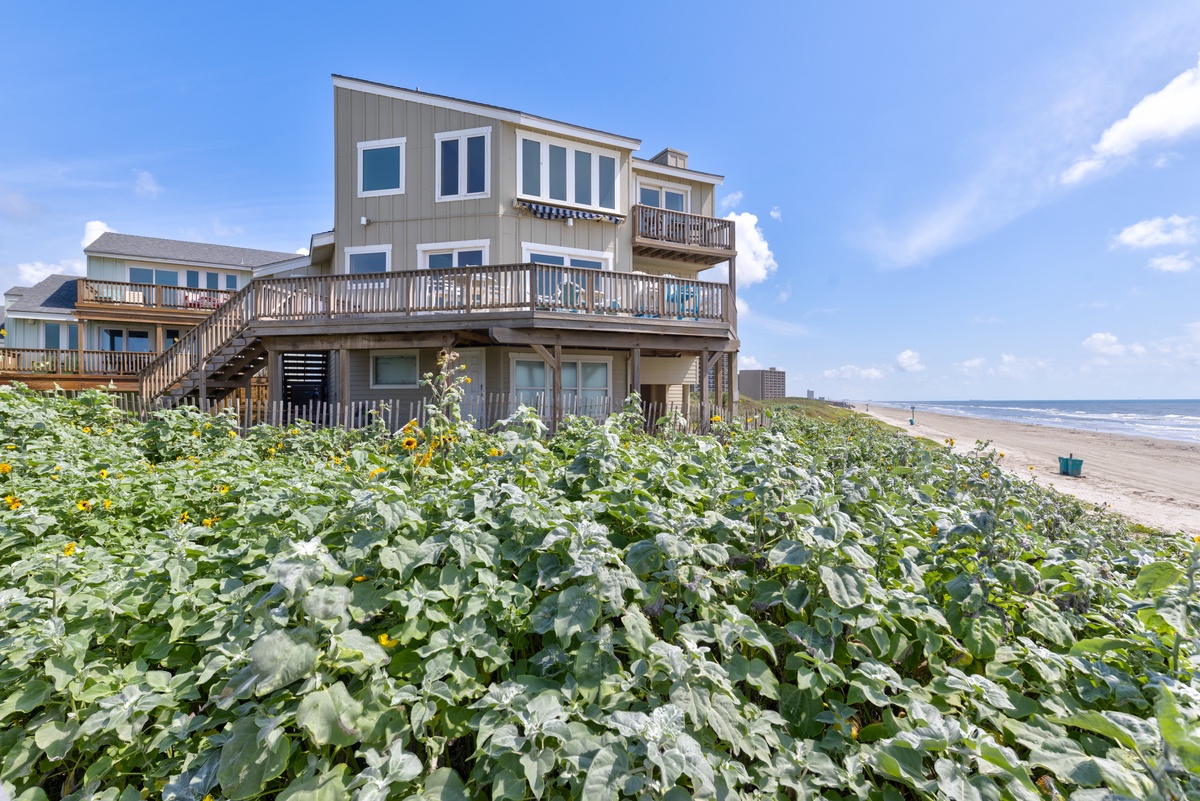 A beachfront retreat sits steps from the sandy shore, surrounded by lush coastal vegetation and framed by blue skies—a peaceful escape by the ocean.