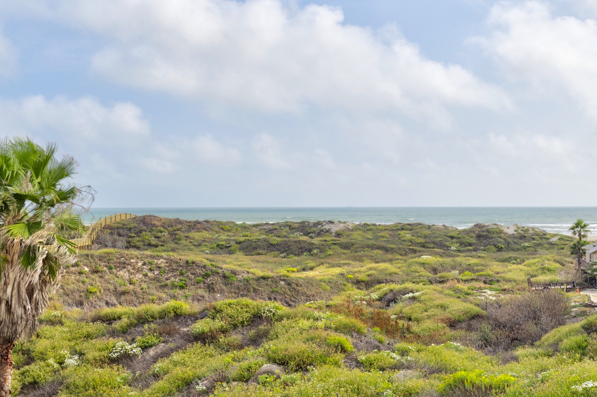 Coastal dunes and natural vegetation stretch toward the ocean, creating a pristine seaside environment for this beachfront location.