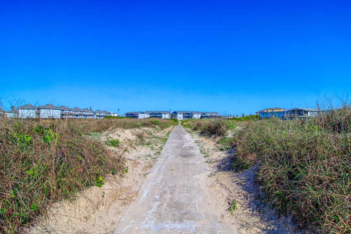 A coastal pathway leads through natural dunes toward a residential neighborhood under brilliant blue skies.