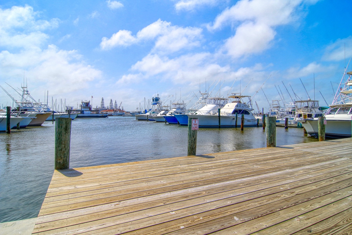 Marina views showcase fishing boats and yachts docked nearby, with city skyline visible in the distance under bright blue skies.