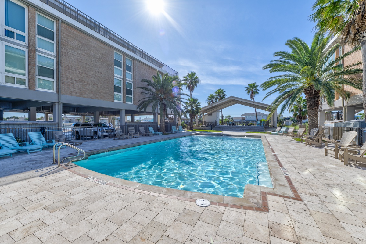Modern resort-style pool area surrounded by swaying palm trees and contemporary architecture.