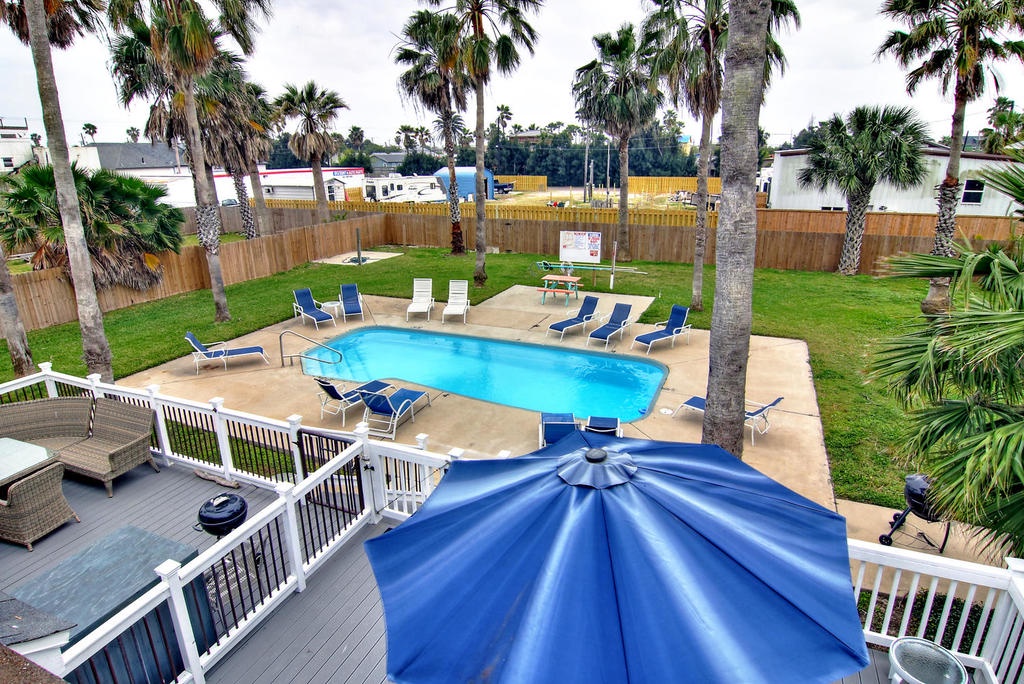 Private backyard oasis featuring a sparkling pool surrounded by tropical palms and comfortable loungers for ultimate relaxation.