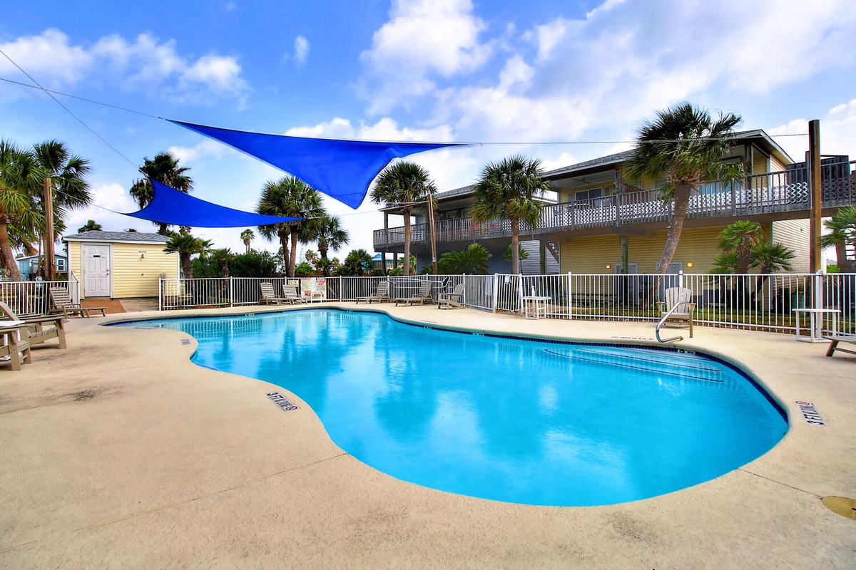 Dive into your tropical escape at this sparkling pool, shaded by vibrant blue sails under swaying palms.