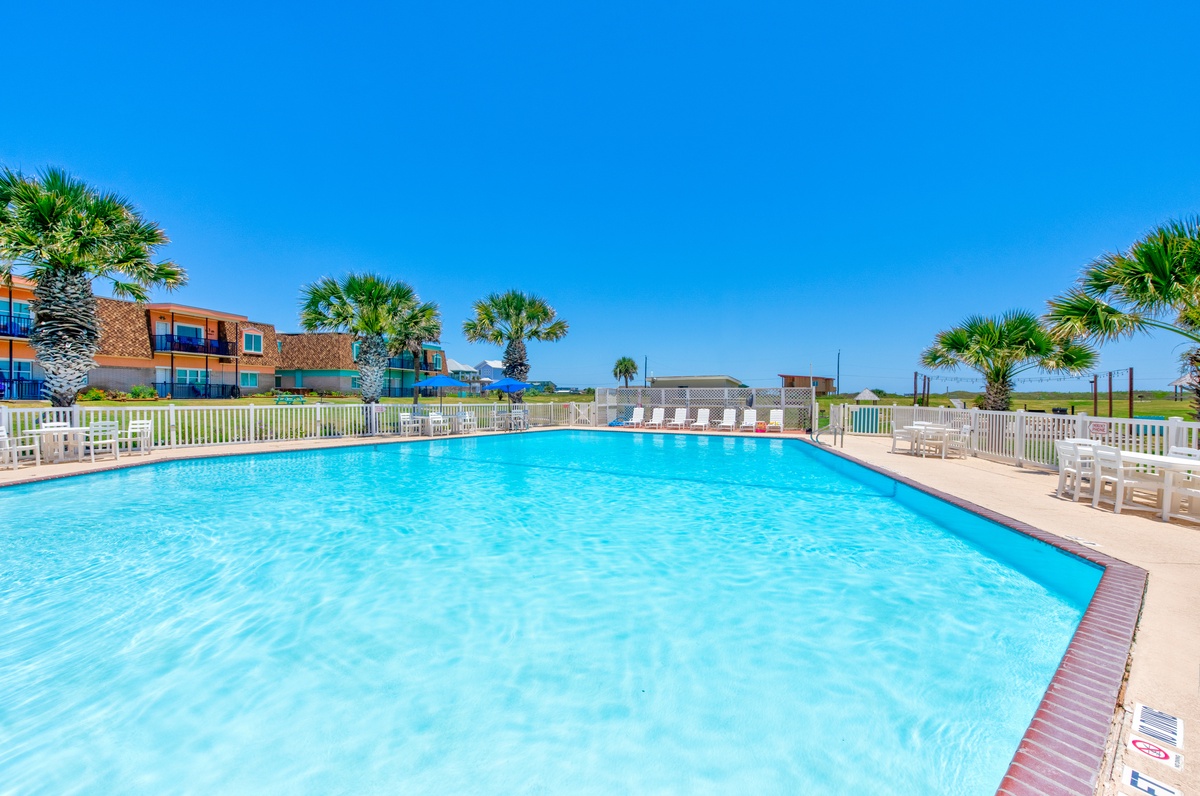 Dive into crystal-clear waters and soak up the sun at this sparkling pool. White lounge chairs await your relaxation under tropical palms.